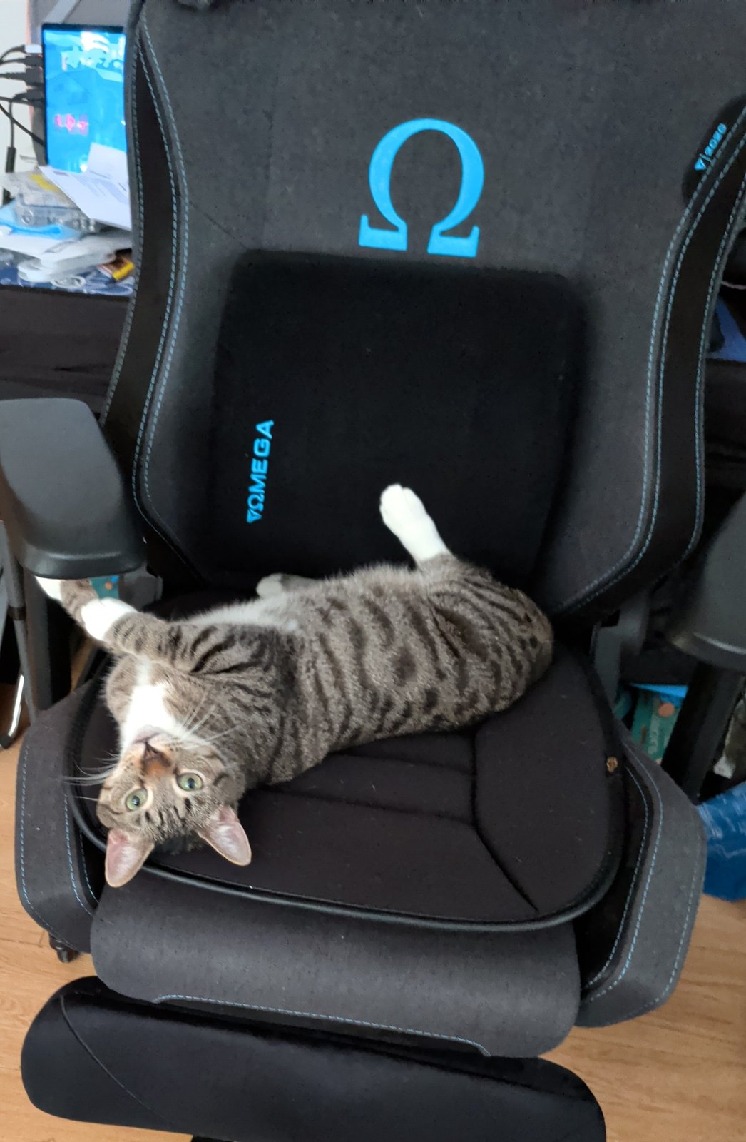 The supervisor.